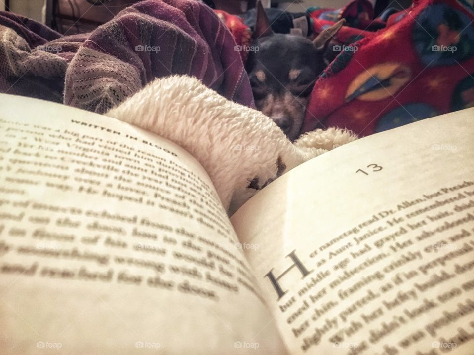 She is a great listener 