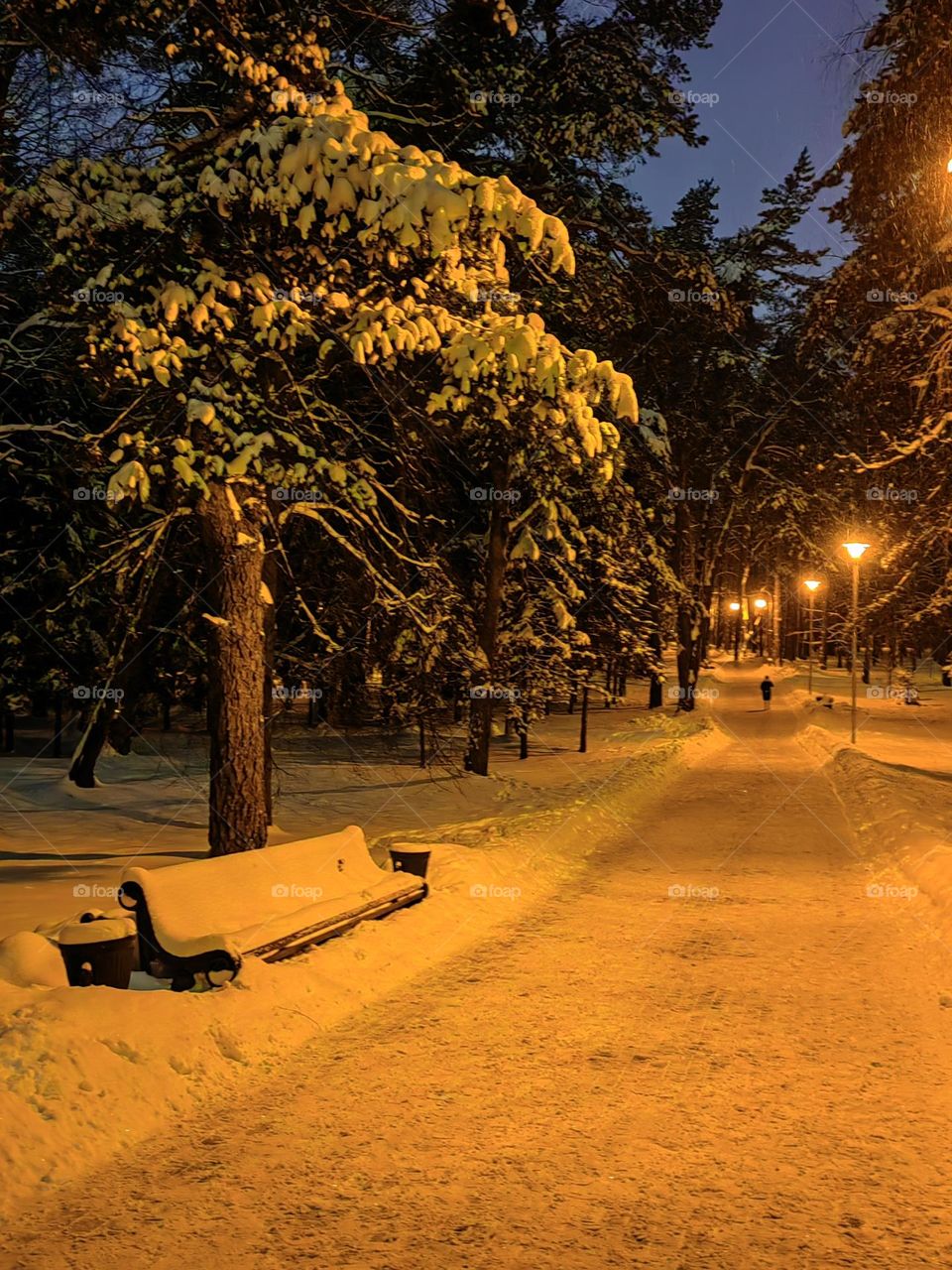 Зимний вечер