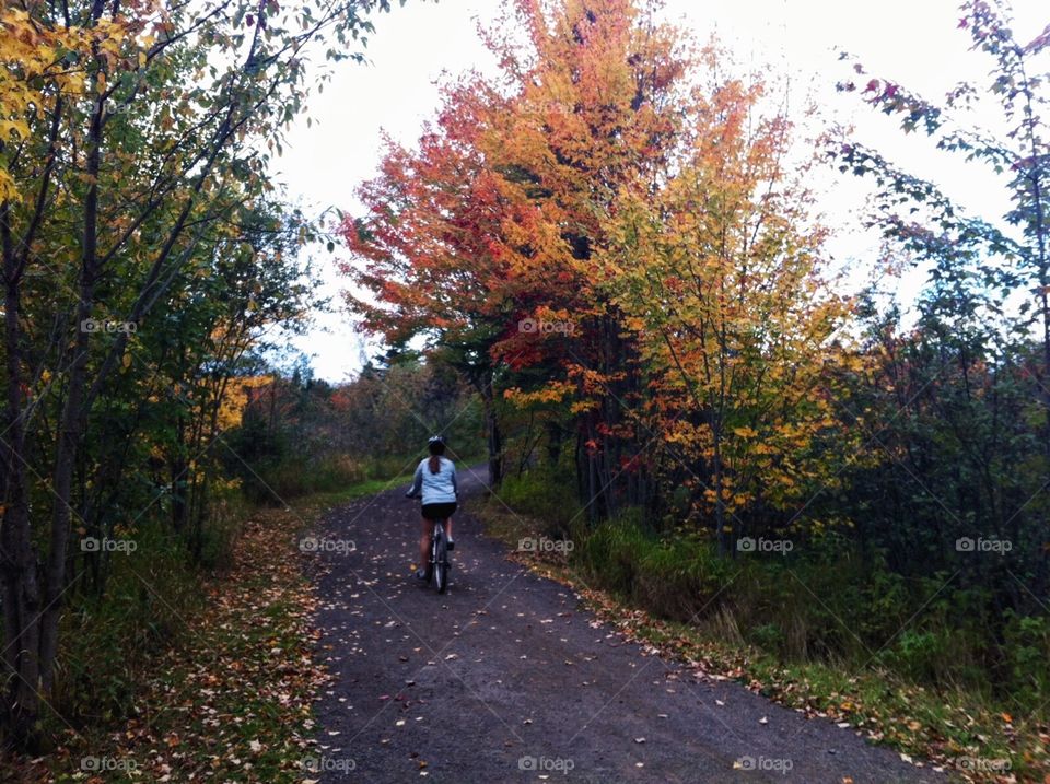 Bike Rides in Fall 