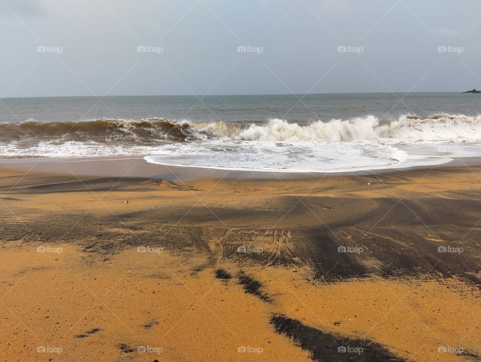 World Oceans Day / 2024