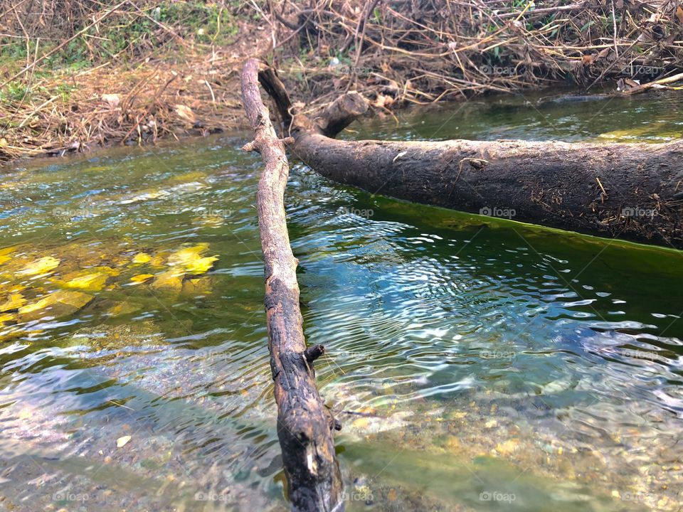 Water, Nature, River, Wood, Stream