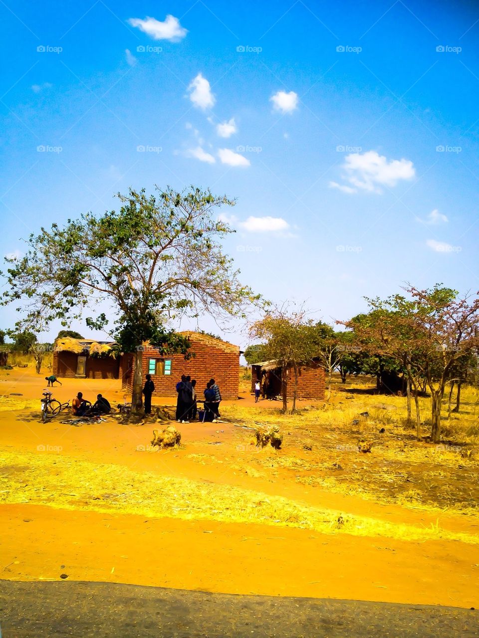 Village in Africa