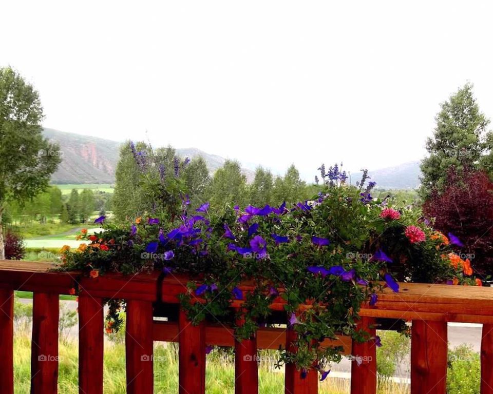 Our view in Colorado 