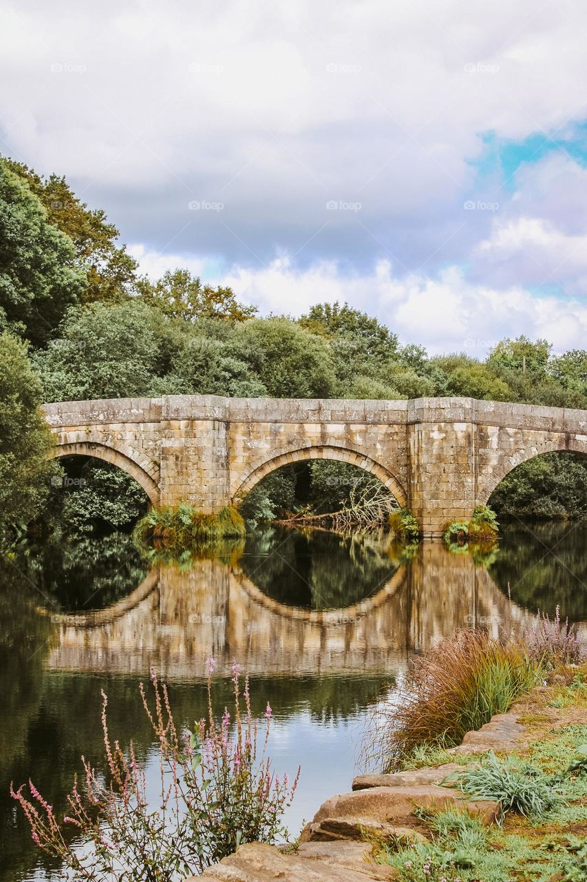 bridge reflexion