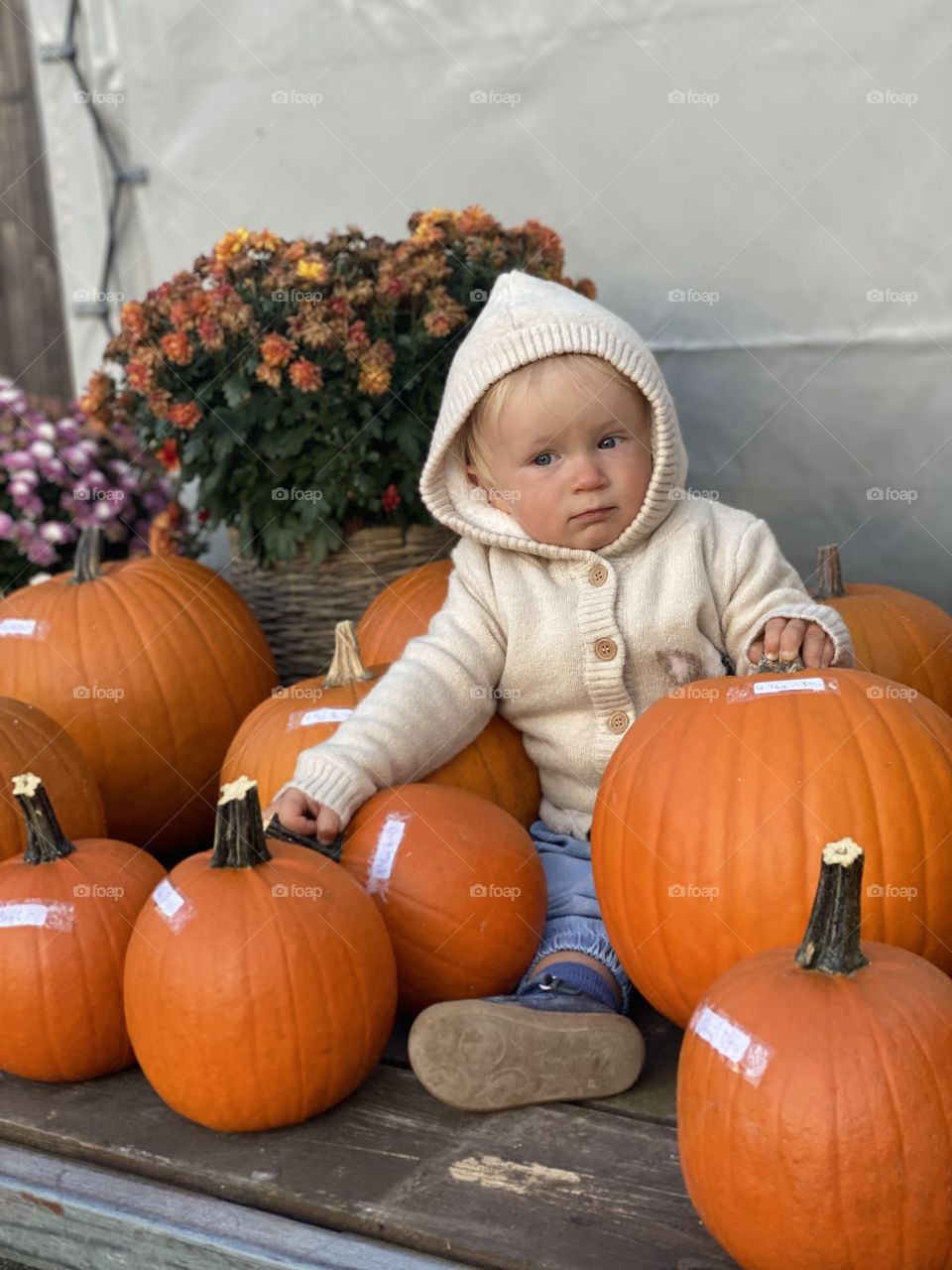 little boy sitting among pumpkins on a wooden cart, pumpkin, halloween, autumn flowers, autumn