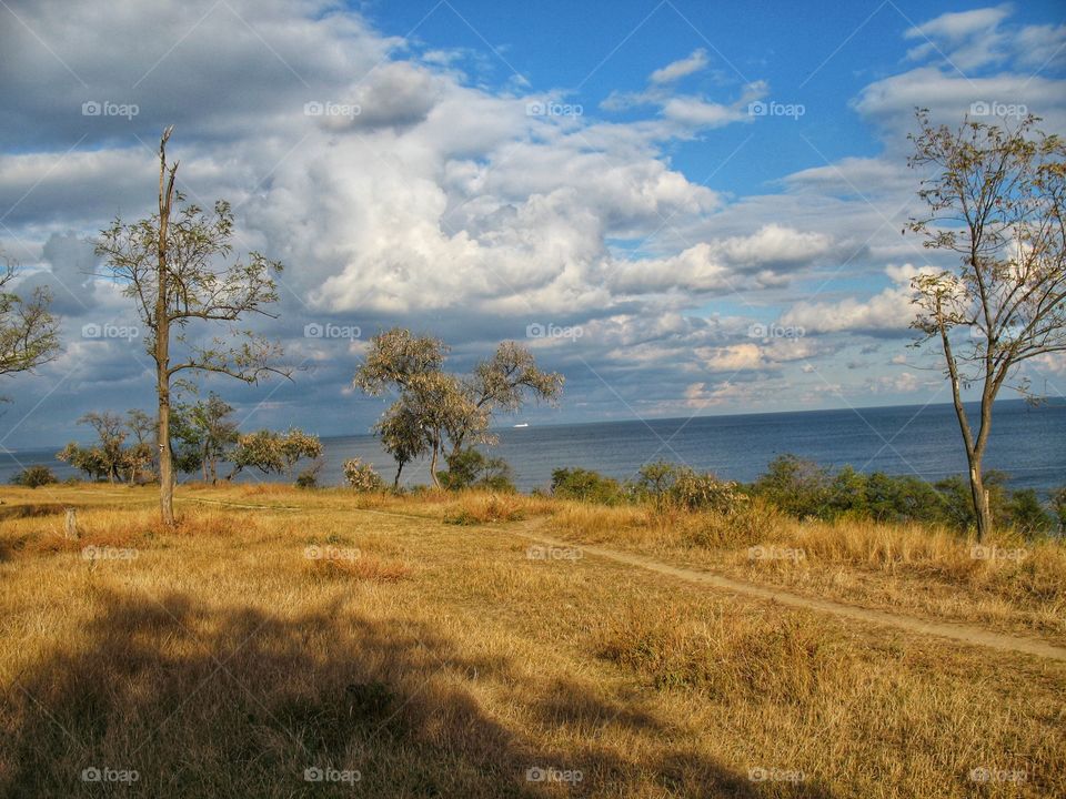 landscape nature пей
