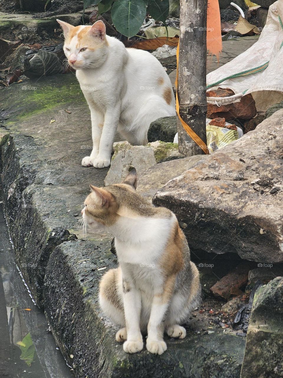 waiting for someone!