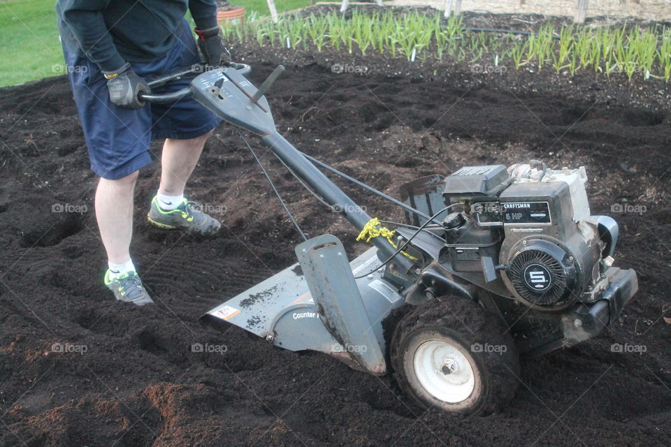 tilling the garden