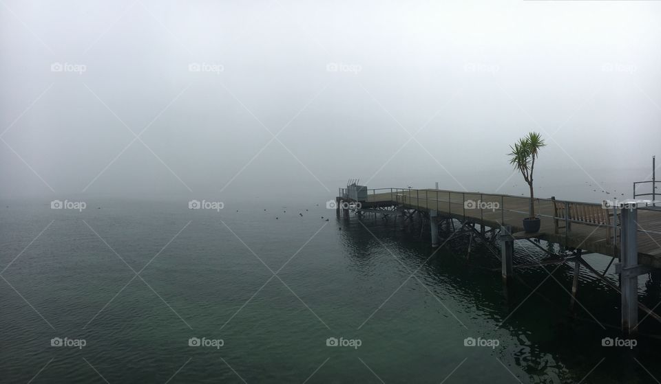 Bodensee im Nebel 2