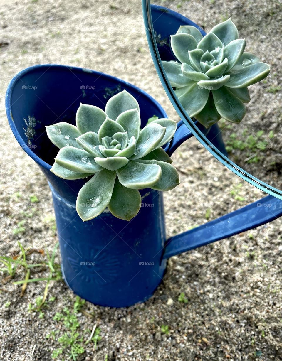 Two is better than one. 