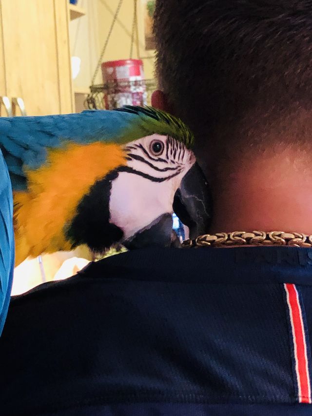 My friend 
