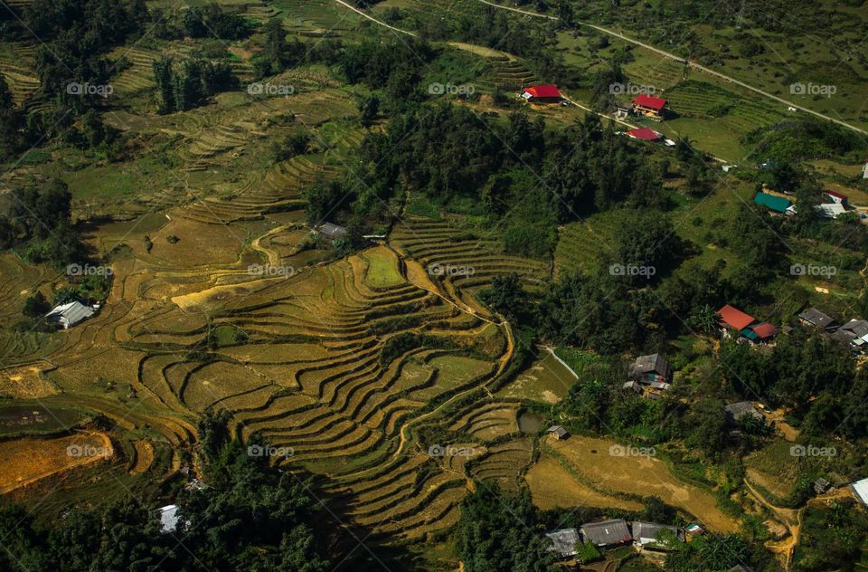 Rice terraces from above in Vietnam 