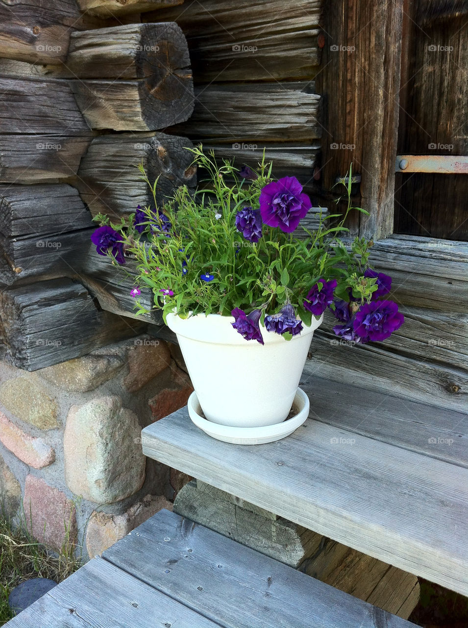 sweden flower pot cabin by sarahfe