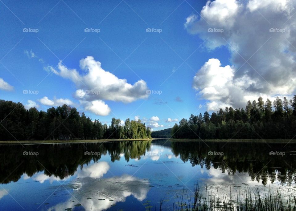 Reflection of cloudy sky and trees in lake