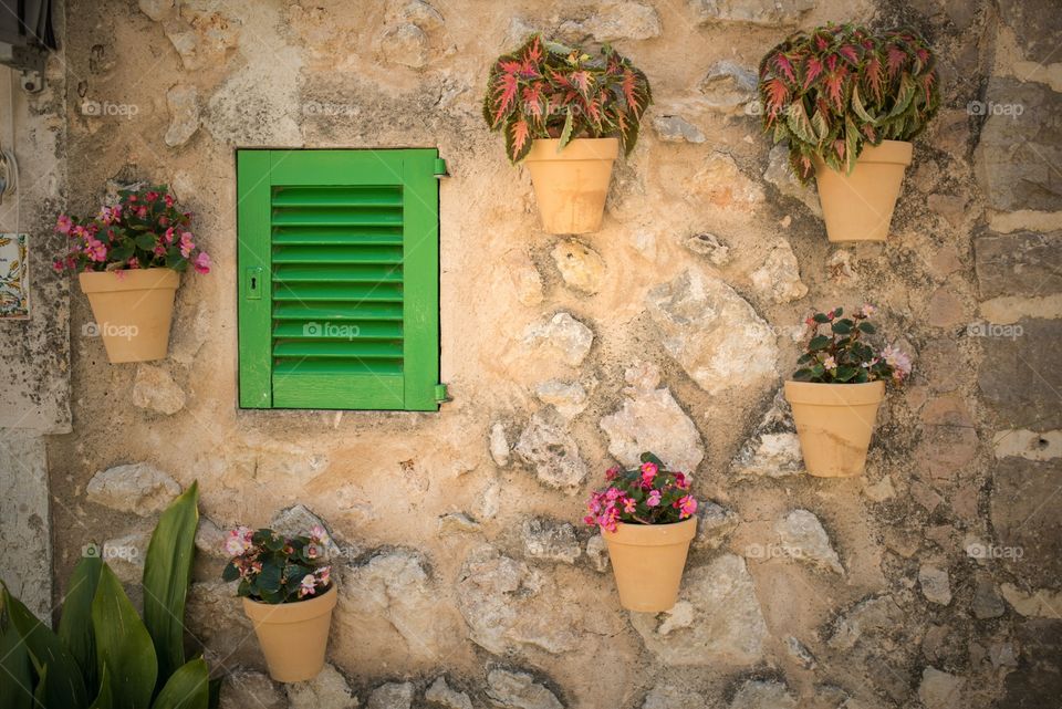 Green window