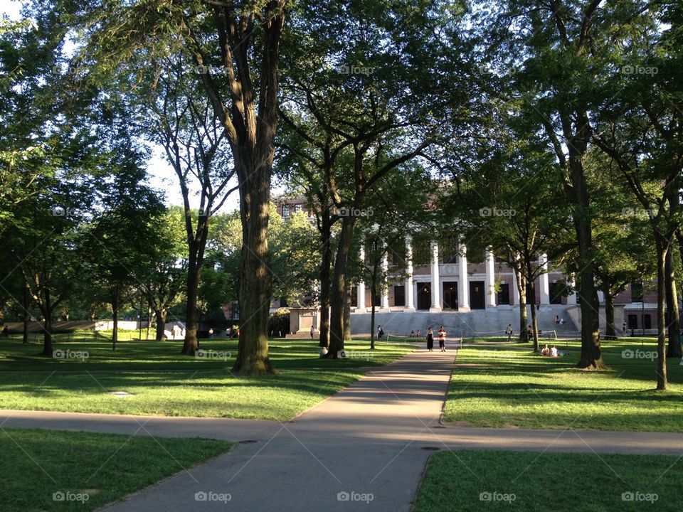 Harvard