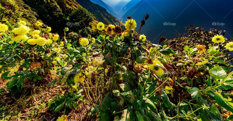 beautiful spring over the mountains...😍