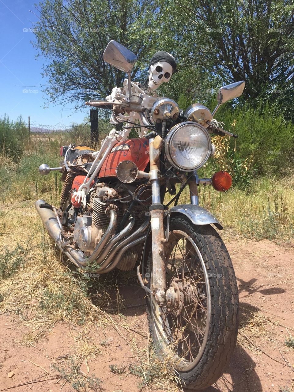 Mr. Bones on a Hog