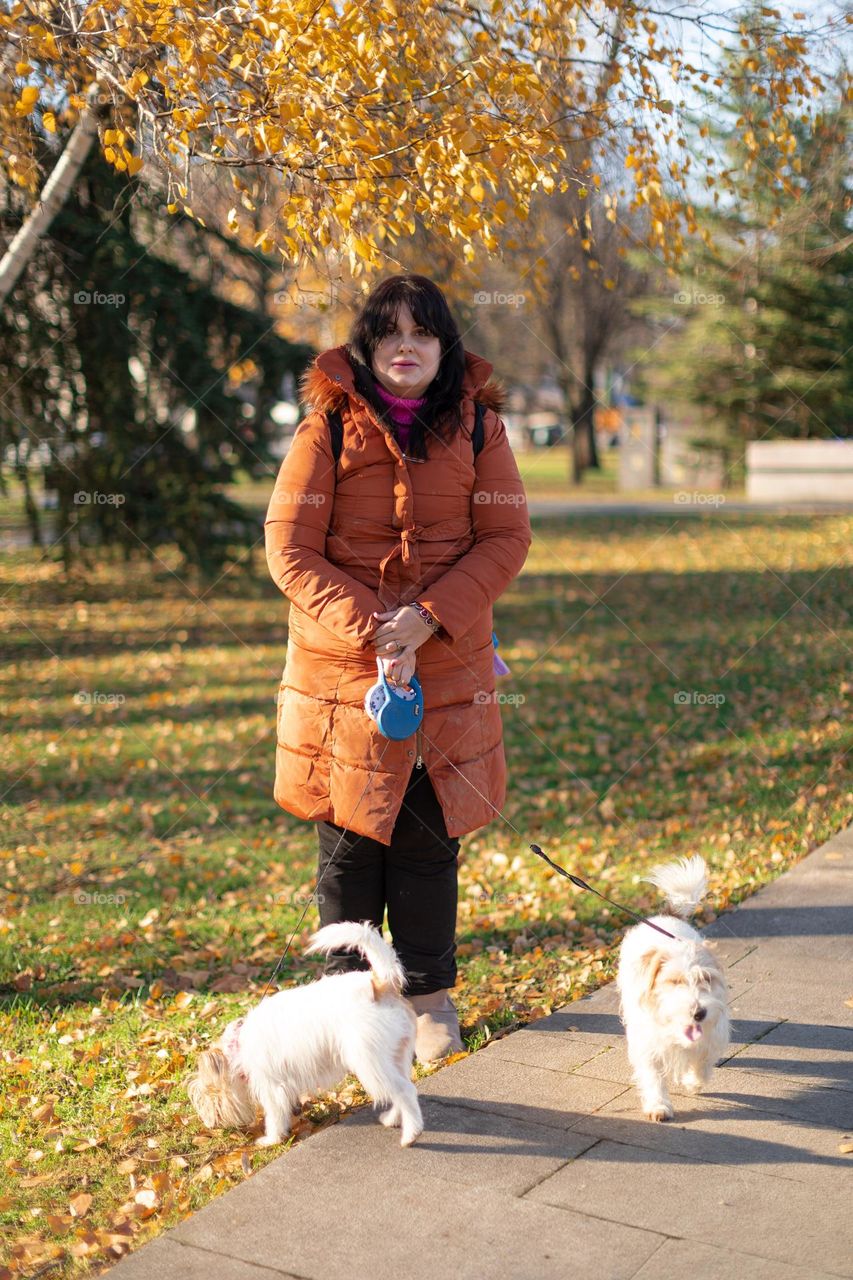 Taking a dogs to a walk