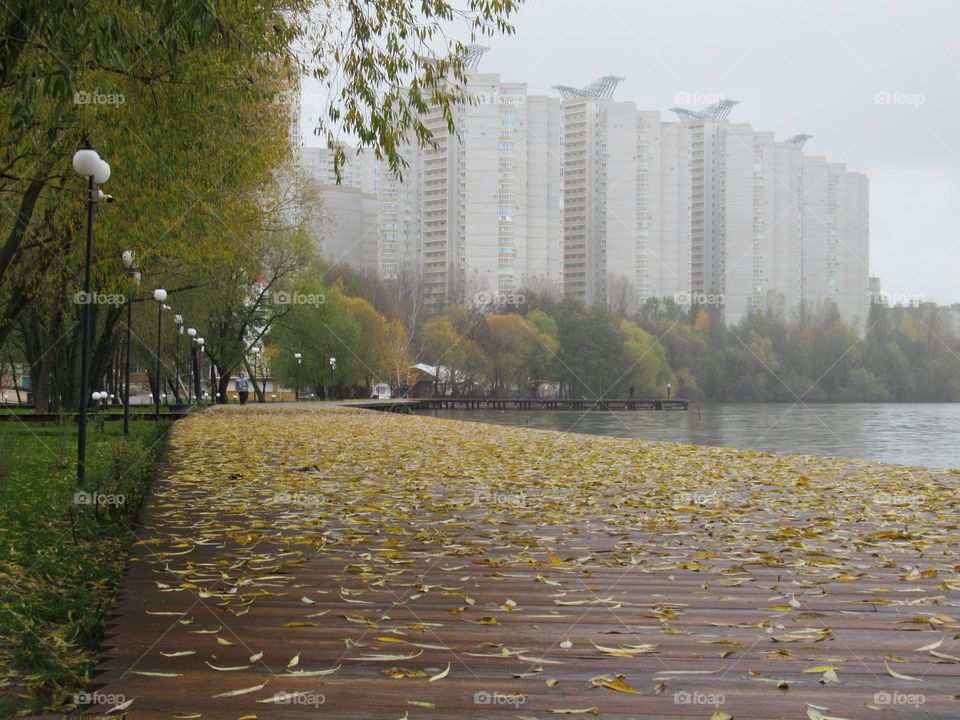 city ​​park in autumn after rain