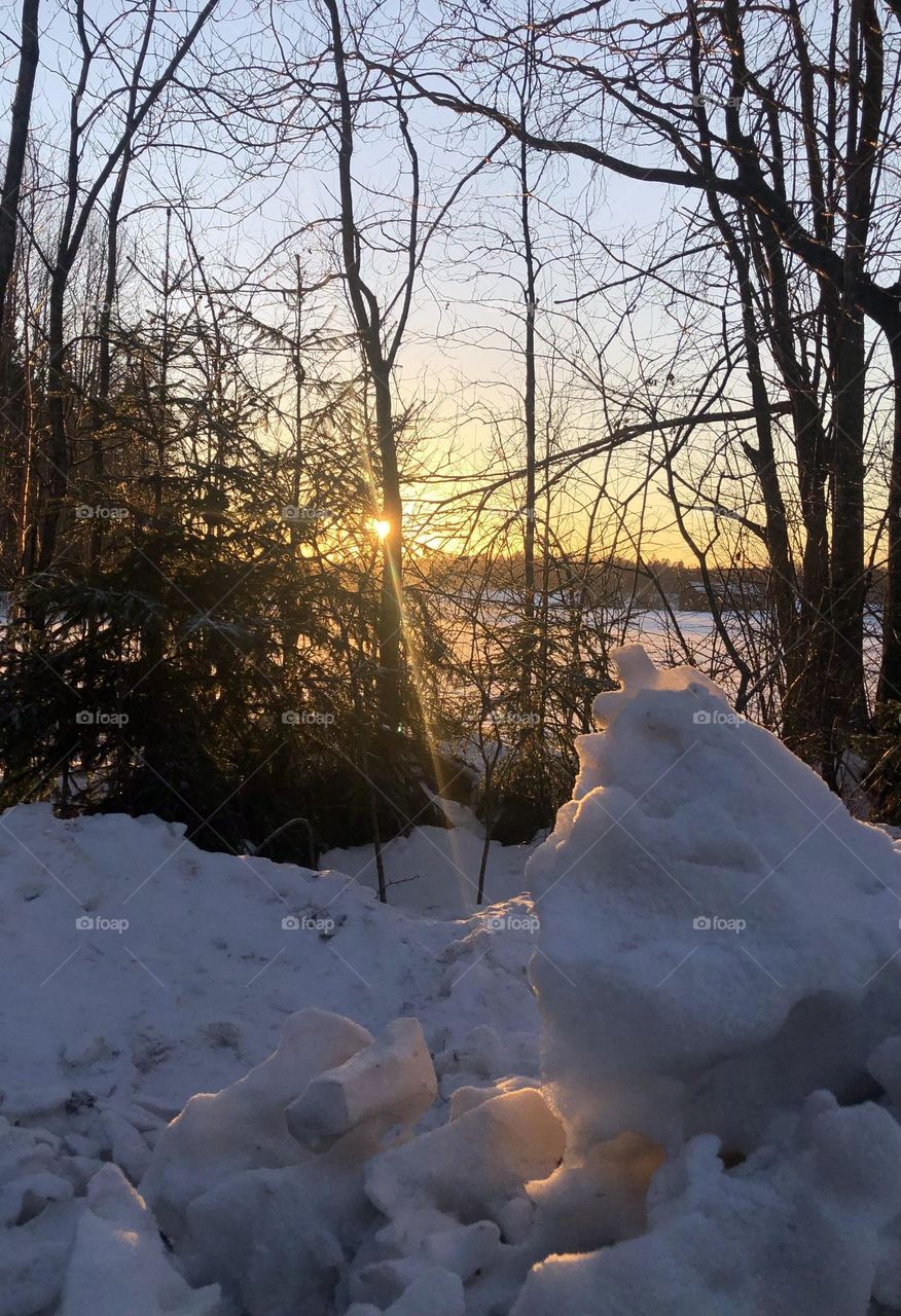 Winter sunset peeking through the trees and hitting the snow