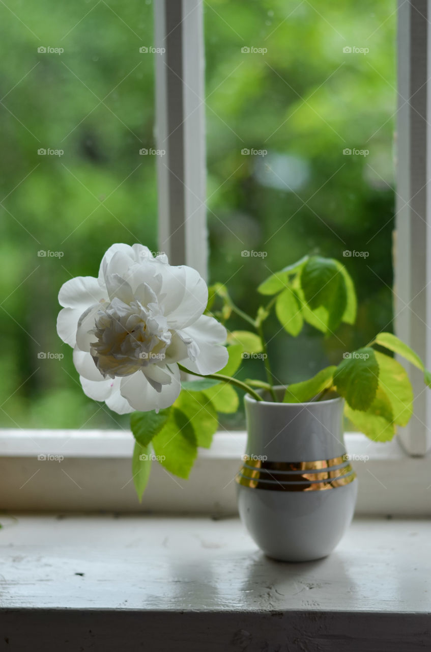 Vase with white flower.