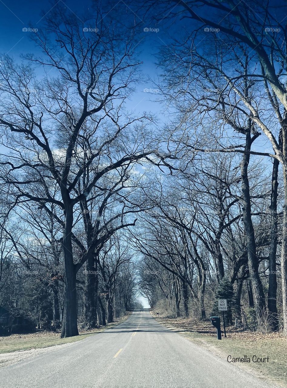 The road in front of me