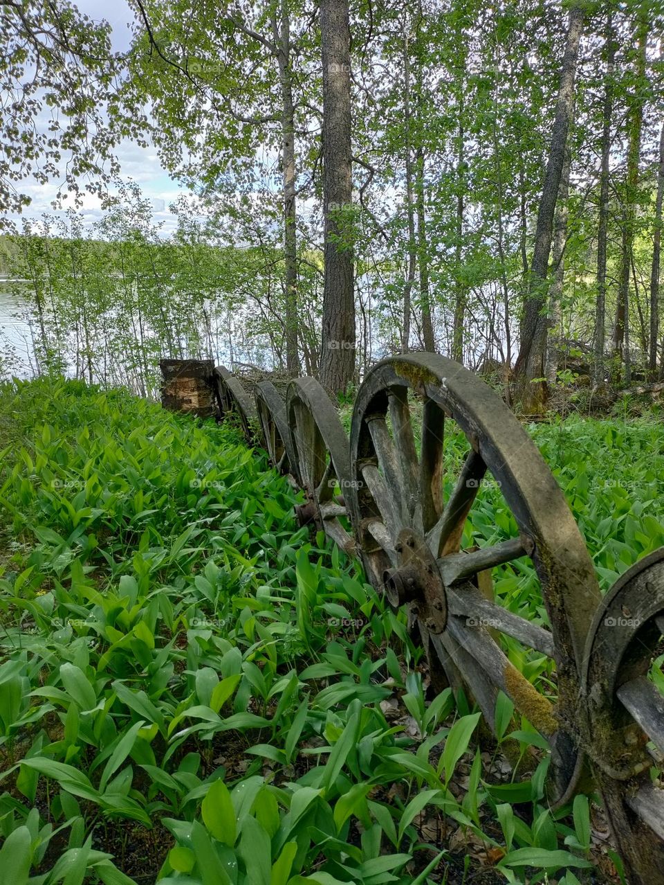 old wheels