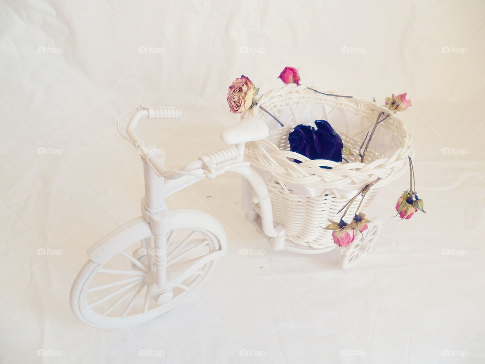 decorative toy bike and dried rose buds