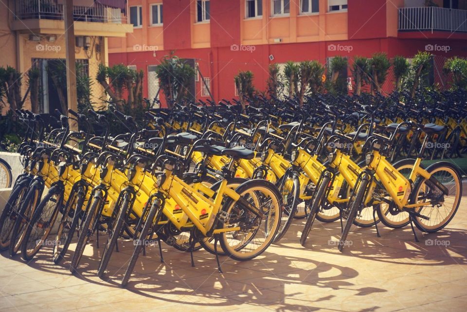 Advice#line#bicycles#yellow