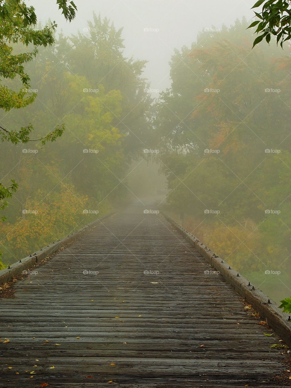 Misty bridge 