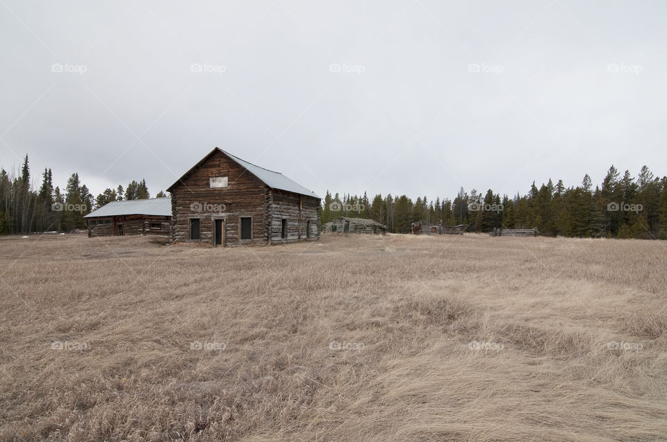 Abandoned Farm House in the wilderness in Carcross, Yukon, Canada