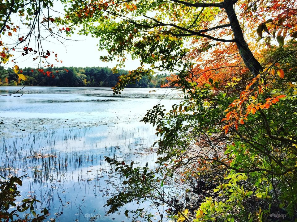 Autumn in Rhode Island