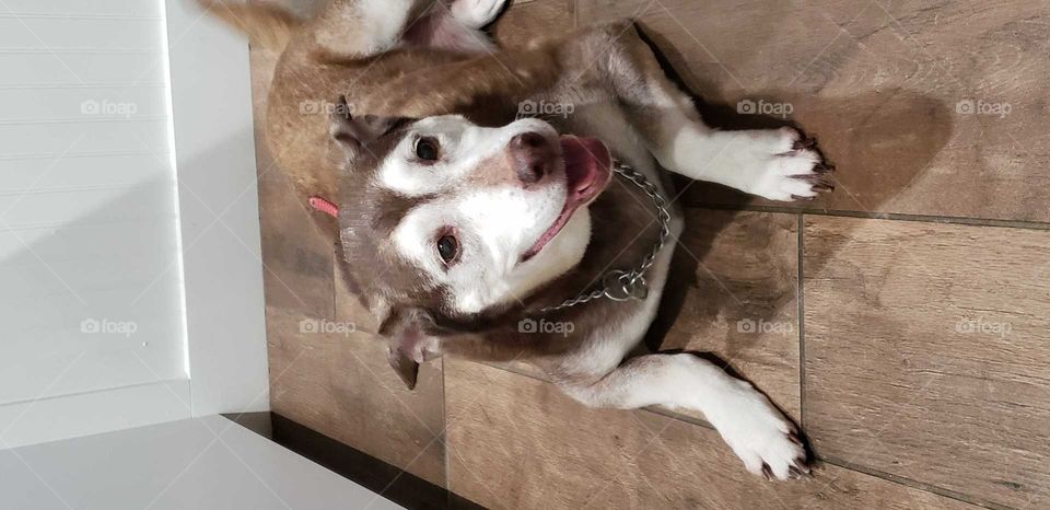 happy girl after getting her nails trimmed