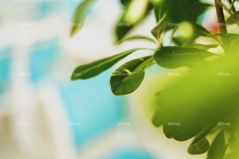 Fresh summer food restaurant. 