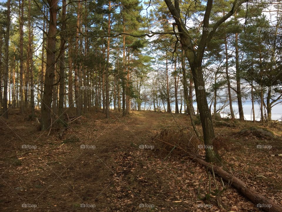 Möreleden in Kalmar Sweden 