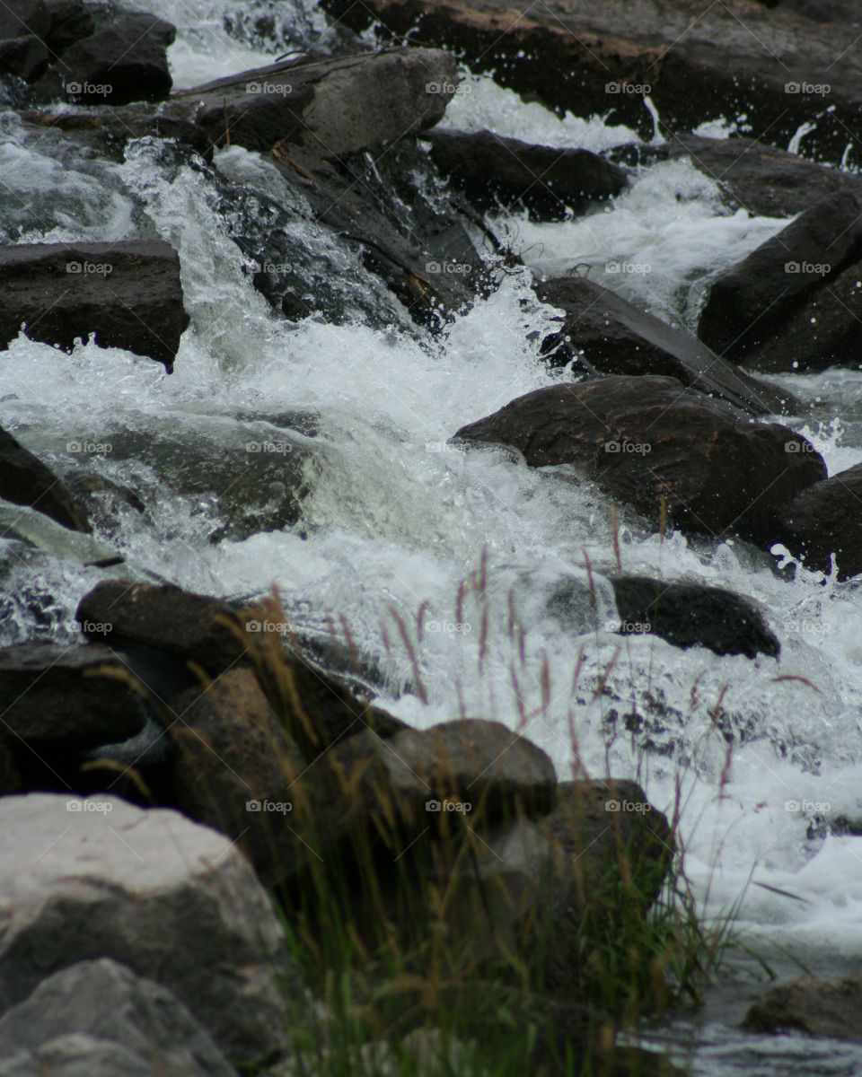 Babbling brook 