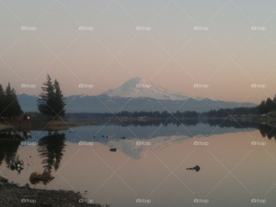 Mt. Rainier reflected perfectly on low Lake Tapps (Lake Tapps, Washington)