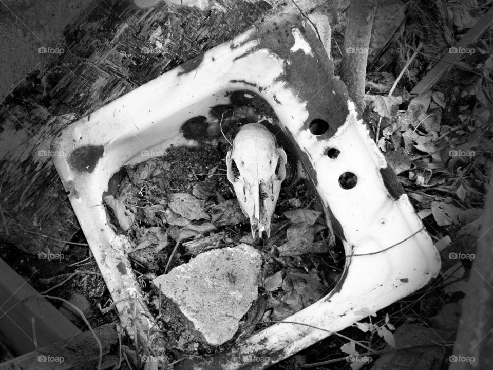 rusted sink. exploring, good times, strange 