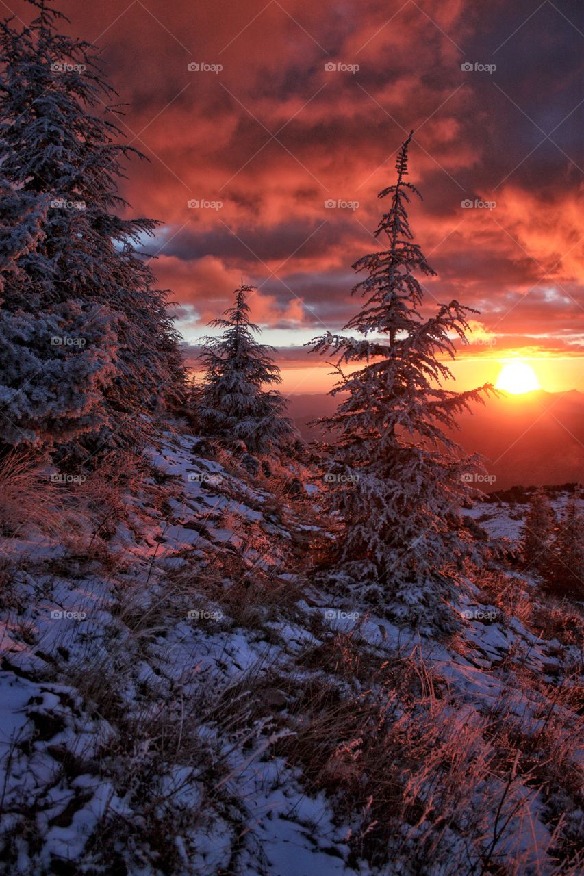 The sun sets amid the snow white - Algeria