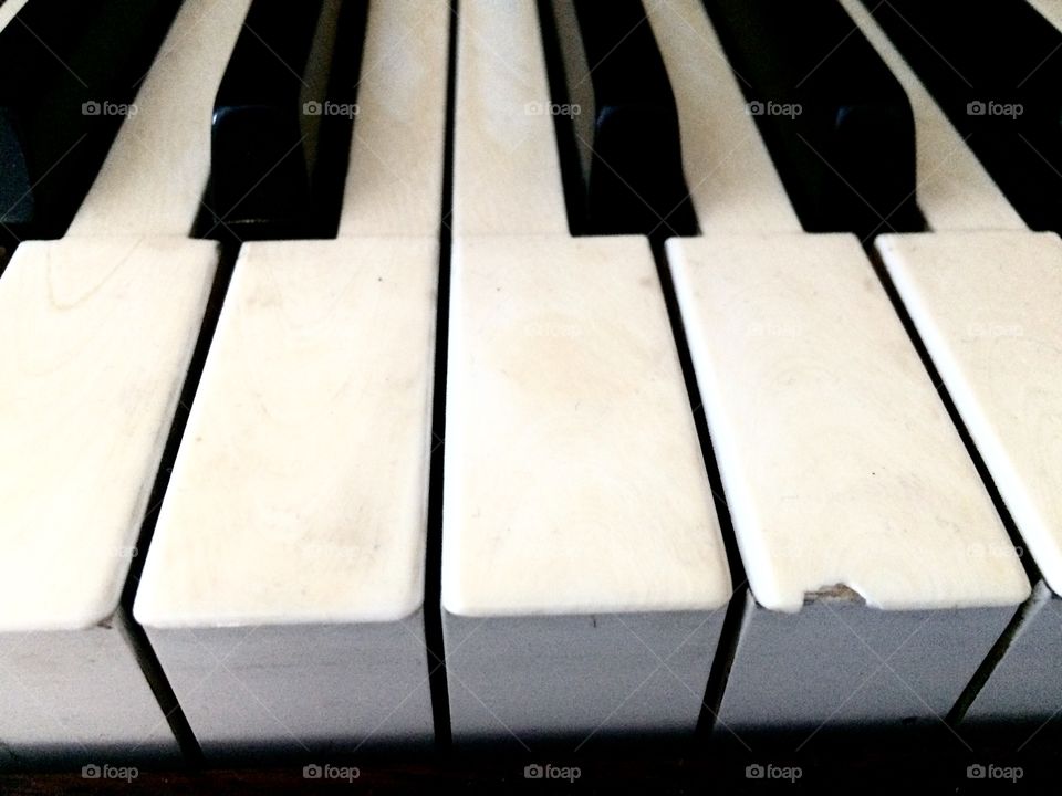 We'll loved Piano keys