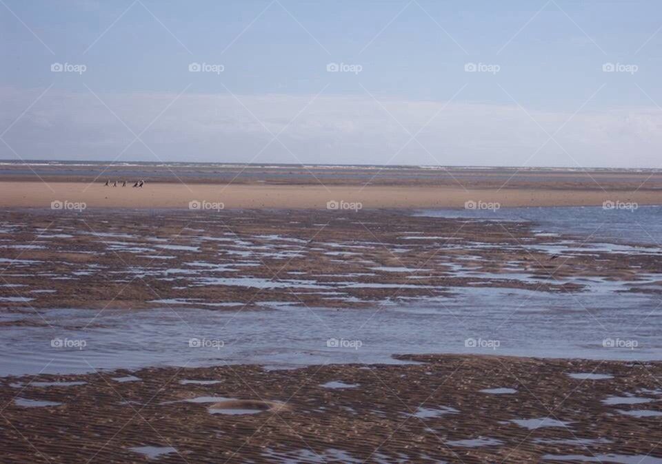 Low Tide Horizon