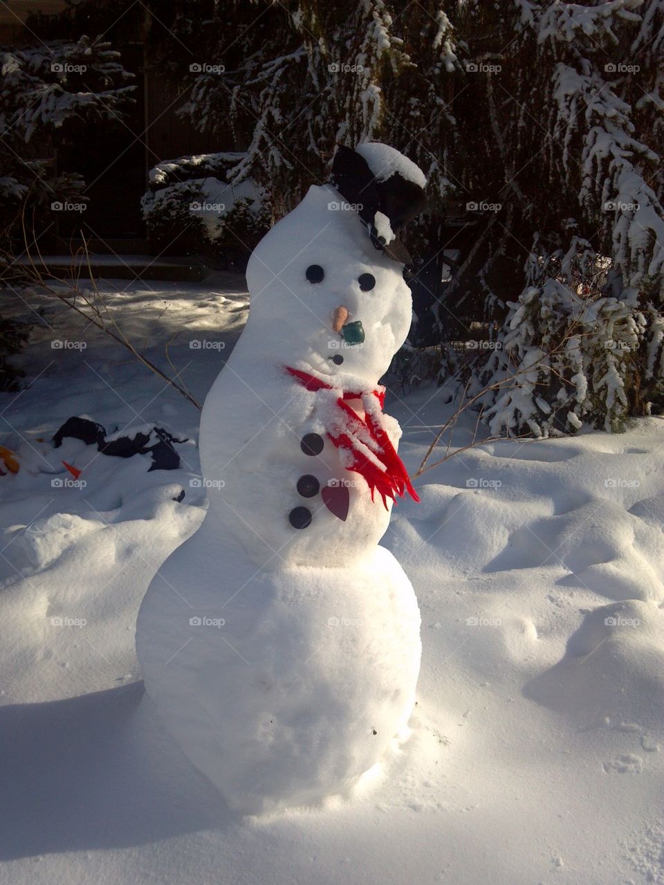 Mr. Snowman