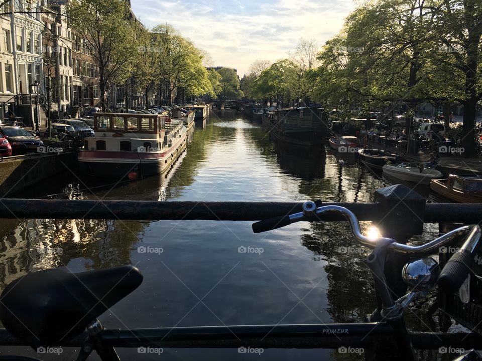 beautiful light in Amsterdam 