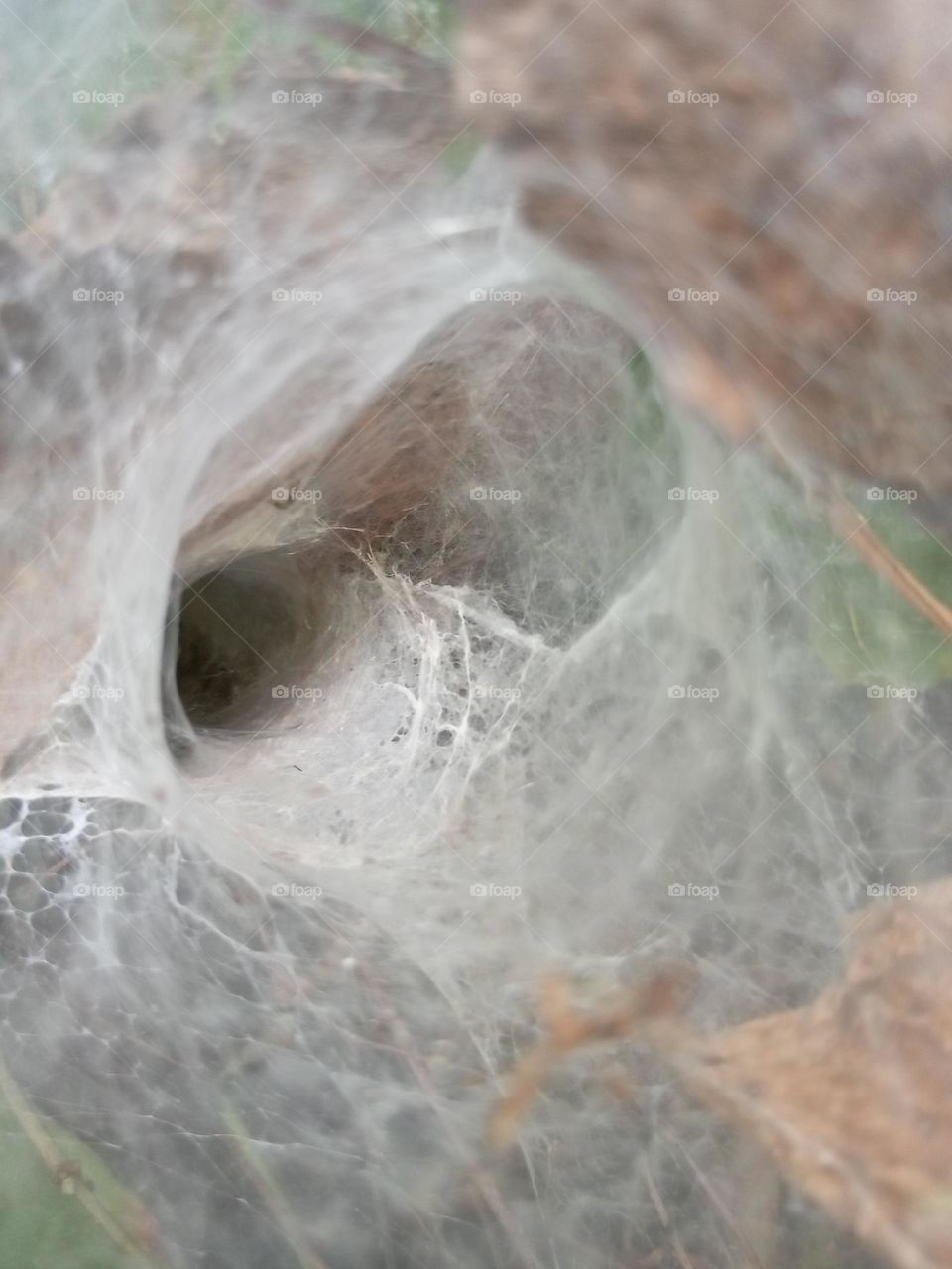 A cobweb like hole