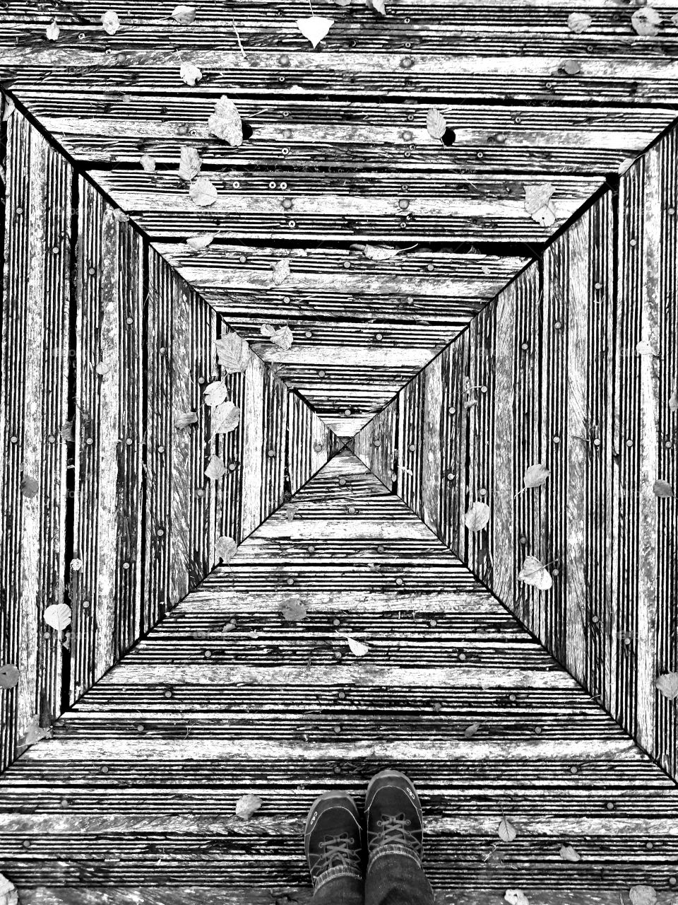 Middle of a wooden pontoon . Illusion of a corridor.