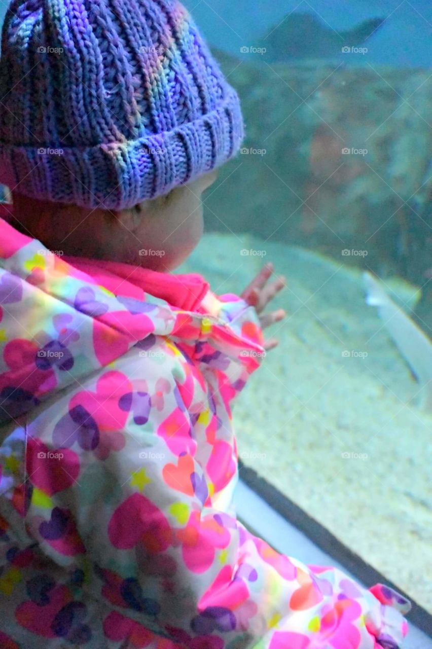 toledo zoo aquarium