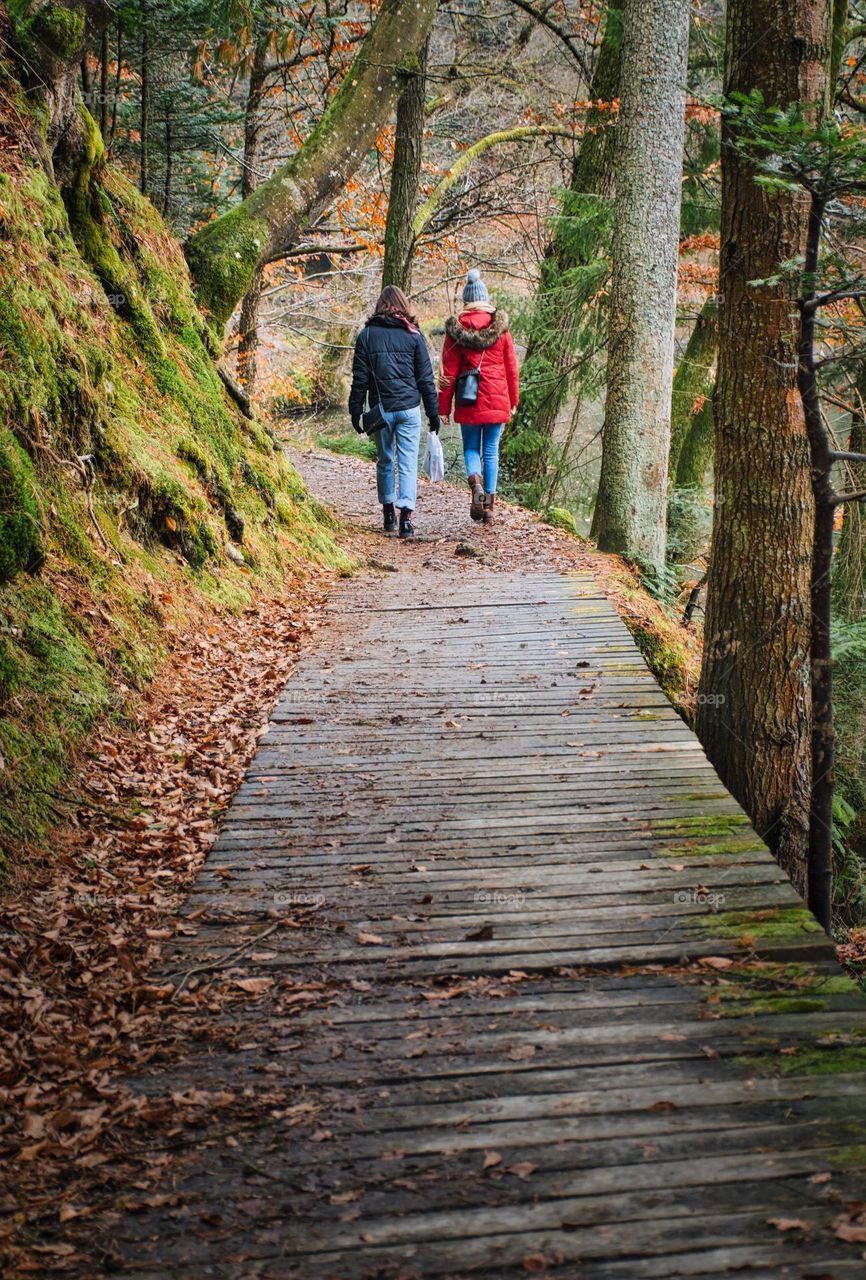 Romance one the wooden bridge in the forest