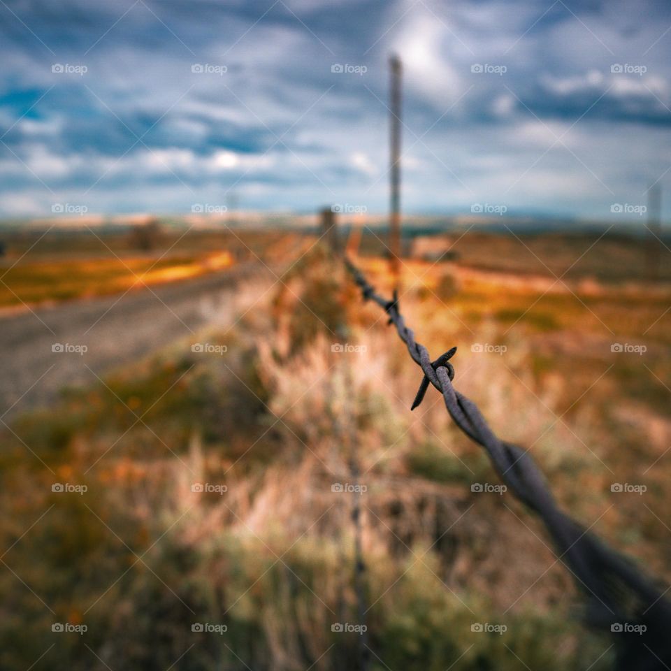 Macro focus of barbed wire.