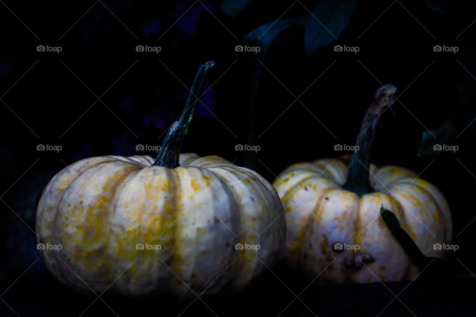 Yellow pumpkins on black background